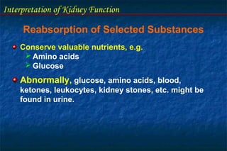 Interpretation of Kidney Function
Reabsorption of Selected Substances
Conserve valuable nutrients, e.g.
 Amino acids
 Glucose
Abnormally, glucose, amino acids, blood,
ketones, leukocytes, kidney stones, etc. might be
found in urine.
 