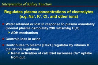 Interpretation of Kidney Function
Regulates plasma concentrations of electrolytes
(e.g. Na+
, K+
, Cl-
, and other ions)
Water retained or lost in response to plasma osmolality
(normal plasma osmolality 290 mOsm/kg H2O).
 ADH mechanism
Controls loss in urine
Contributes to plasma [Ca2+] regulator by vitamin D
(calcitriol) regulation
 Renal activation of calcitriol increases Ca2+
uptake
from gut.
 