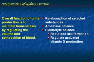 Interpretation of Kidney Function
Overall function of urine
production is to
maintain homeostasis
by regulating the
volume and
composition of blood.
Re-absorption of selected
substances
Acid-base balance
Electrolyte balance
Red blood cell formation
Regulate activated
vitamin D production
 