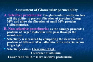 Assessment of Glomerular permeability
A. Selective proteinuria: the glomerular membrane has
still the ability to prevent filtration of proteins of large
MW and allow the filtration of small MW proteins
( Albuminuria).
B. Non selective proteinuria: as the damage proceeds ;
proteins of larger molecular sizes pass through the
membrane.
 Selectivity is measured by comparing the clearance of 2
proteins of different MW; albumin or transferrin versus
larger IgG.
 Selectivity ratio = Clearance of IgG
Clearance of albumin
Lower ratio <0.16 = more selective proteinuria.
 