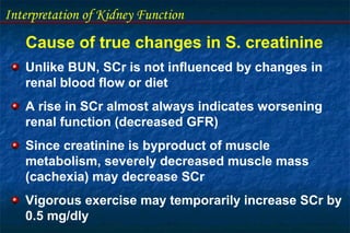 Interpretation of Kidney Function
Cause of true changes in S. creatinine
Unlike BUN, SCr is not influenced by changes in
renal blood flow or diet
A rise in SCr almost always indicates worsening
renal function (decreased GFR)
Since creatinine is byproduct of muscle
metabolism, severely decreased muscle mass
(cachexia) may decrease SCr
Vigorous exercise may temporarily increase SCr by
0.5 mg/dly
 