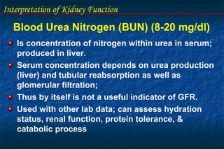 Interpretation of Kidney Function
Blood Urea Nitrogen (BUN) (8-20 mg/dl)
Is concentration of nitrogen within urea in serum;
produced in liver.
Serum concentration depends on urea production
(liver) and tubular reabsorption as well as
glomerular filtration;
Thus by itself is not a useful indicator of GFR.
Used with other lab data; can assess hydration
status, renal function, protein tolerance, &
catabolic process
 