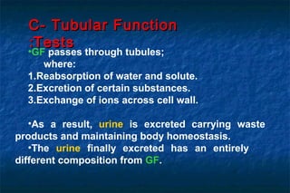 •GF passes through tubules;
where:
1.Reabsorption of water and solute.
2.Excretion of certain substances.
3.Exchange of ions across cell wall.
•As a result, urine is excreted carrying waste
products and maintaining body homeostasis.
•The urine finally excreted has an entirely
different composition from GF.
C- Tubular FunctionC- Tubular Function
TestsTests::
 