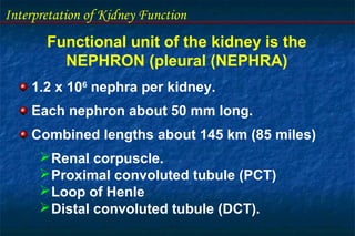 Interpretation of Kidney Function
Functional unit of the kidney is the
NEPHRON (pleural (NEPHRA)
1.2 x 106
nephra per kidney.
Each nephron about 50 mm long.
Combined lengths about 145 km (85 miles)
Renal corpuscle.
Proximal convoluted tubule (PCT)
Loop of Henle
Distal convoluted tubule (DCT).
 