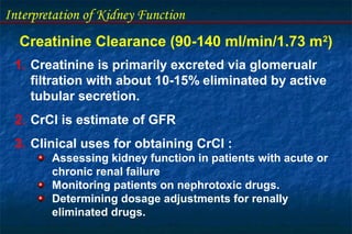 Kidney function tests by moustafa rizk