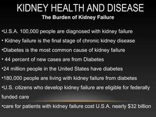 KIDNEY HEALTH AND DISEASE
The Burden of Kidney Failure
•U.S.A. 100,000 people are diagnosed with kidney failure
• Kidney failure is the final stage of chronic kidney disease
•Diabetes is the most common cause of kidney failure
• 44 percent of new cases are from Diabetes
•24 million people in the United States have diabetes
•180,000 people are living with kidney failure from diabetes
•U.S. citizens who develop kidney failure are eligible for federally
funded care
•care for patients with kidney failure cost U.S.A. nearly $32 billion
 