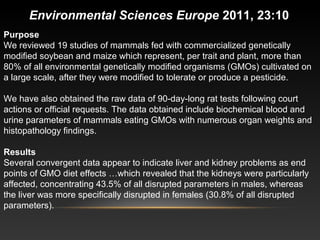 Purpose
We reviewed 19 studies of mammals fed with commercialized genetically
modified soybean and maize which represent, per trait and plant, more than
80% of all environmental genetically modified organisms (GMOs) cultivated on
a large scale, after they were modified to tolerate or produce a pesticide.
We have also obtained the raw data of 90-day-long rat tests following court
actions or official requests. The data obtained include biochemical blood and
urine parameters of mammals eating GMOs with numerous organ weights and
histopathology findings.
Results
Several convergent data appear to indicate liver and kidney problems as end
points of GMO diet effects …which revealed that the kidneys were particularly
affected, concentrating 43.5% of all disrupted parameters in males, whereas
the liver was more specifically disrupted in females (30.8% of all disrupted
parameters).
Environmental Sciences Europe 2011, 23:10
 