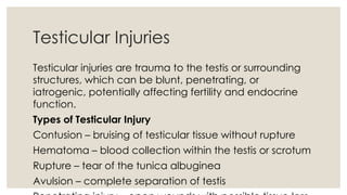 Testicle Injuries Kidney Injuries.ppt power point presentation | PPTX
