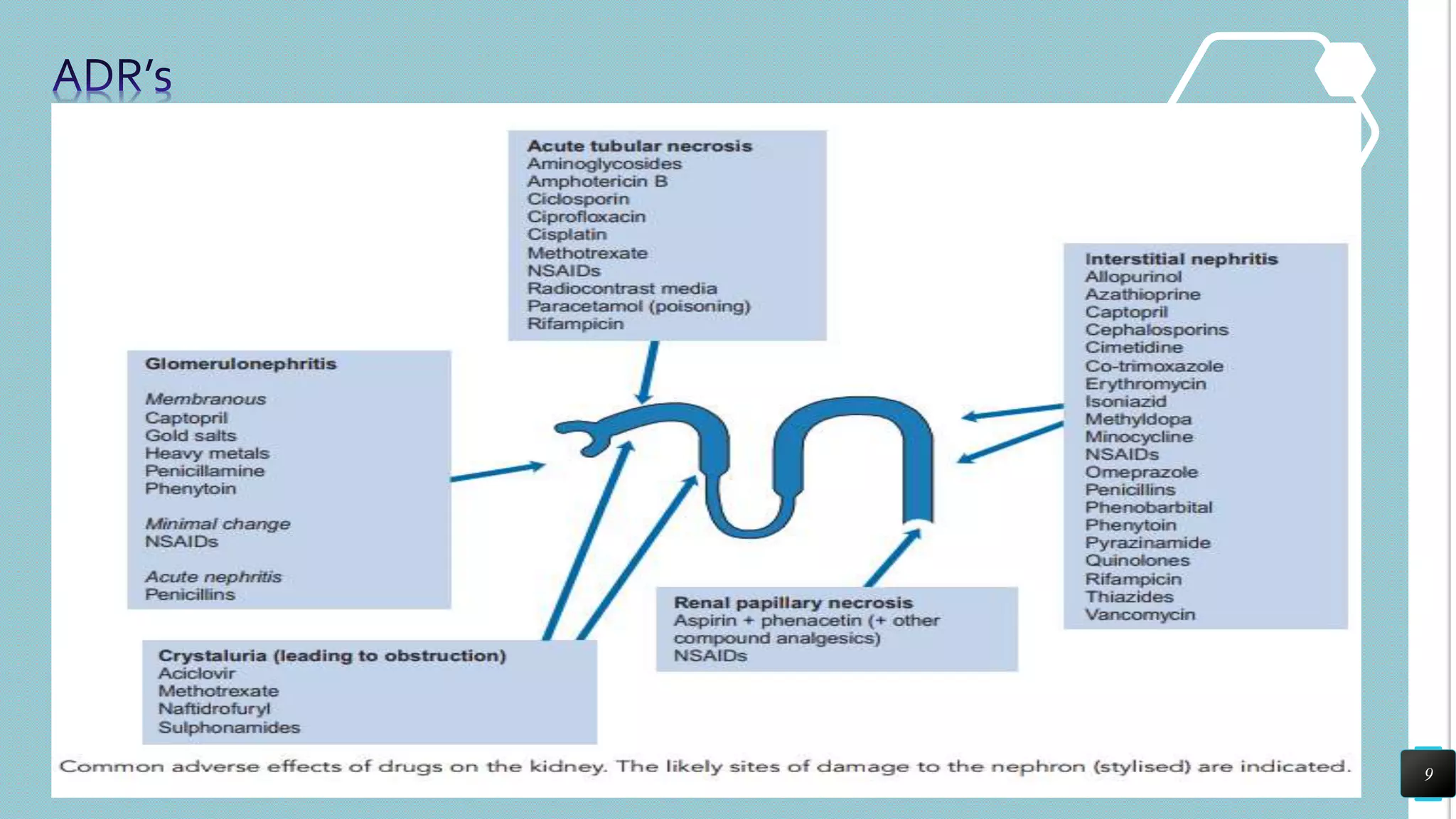 drug induced Kidney injury | PPTX