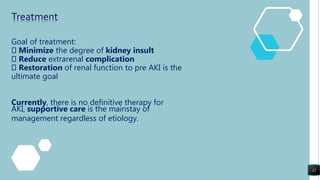 drug induced Kidney injury | PPTX