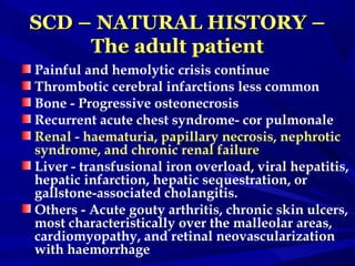 SCD – NATURAL HISTORY –SCD – NATURAL HISTORY –
The adult patientThe adult patient
Painful and hemolytic crisis continue
Thrombotic cerebral infarctions less common
Bone - Progressive osteonecrosis
Recurrent acute chest syndrome- cor pulmonale
Renal - haematuria, papillary necrosis, nephrotic
syndrome, and chronic renal failure
Liver - transfusional iron overload, viral hepatitis,
hepatic infarction, hepatic sequestration, or
gallstone-associated cholangitis.
Others - Acute gouty arthritis, chronic skin ulcers,
most characteristically over the malleolar areas,
cardiomyopathy, and retinal neovascularization
with haemorrhage
 