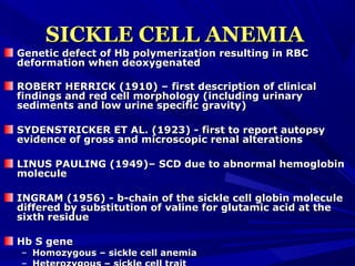 SICKLE CELL ANEMIASICKLE CELL ANEMIA
Genetic defect of Hb polymerization resulting in RBCGenetic defect of Hb polymerization resulting in RBC
deformation when deoxygenateddeformation when deoxygenated
ROBERT HERRICK (1910) – first description of clinicalROBERT HERRICK (1910) – first description of clinical
findings and red cell morphology (including urinaryfindings and red cell morphology (including urinary
sediments and low urine specific gravity)sediments and low urine specific gravity)
SYDENSTRICKER ET AL. (1923) - first to report autopsySYDENSTRICKER ET AL. (1923) - first to report autopsy
evidence of gross and microscopic renal alterationsevidence of gross and microscopic renal alterations
LINUS PAULING (1949)– SCD due to abnormal hemoglobinLINUS PAULING (1949)– SCD due to abnormal hemoglobin
moleculemolecule
INGRAM (1956) - b-chain of the sickle cell globin moleculeINGRAM (1956) - b-chain of the sickle cell globin molecule
differed by substitution of valine for glutamic acid at thediffered by substitution of valine for glutamic acid at the
sixth residuesixth residue
Hb S geneHb S gene
– Homozygous – sickle cell anemiaHomozygous – sickle cell anemia
 