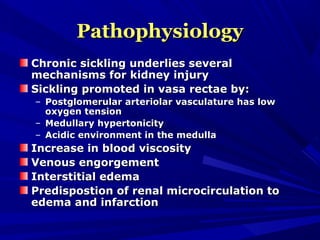 PathophysiologyPathophysiology
Chronic sickling underlies severalChronic sickling underlies several
mechanisms for kidney injurymechanisms for kidney injury
Sickling promoted in vasa rectae by:Sickling promoted in vasa rectae by:
– Postglomerular arteriolar vasculature has lowPostglomerular arteriolar vasculature has low
oxygen tensionoxygen tension
– Medullary hypertonicityMedullary hypertonicity
– Acidic environment in the medullaAcidic environment in the medulla
Increase in blood viscosityIncrease in blood viscosity
Venous engorgementVenous engorgement
Interstitial edemaInterstitial edema
Predispostion of renal microcirculation toPredispostion of renal microcirculation to
edema and infarctionedema and infarction
 