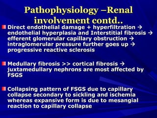 Pathophysiology –RenalPathophysiology –Renal
involvement contd..involvement contd..
Direct endothelial damage + hyperfiltrationDirect endothelial damage + hyperfiltration 
endothelial hyperplasia and Interstitial fibrosisendothelial hyperplasia and Interstitial fibrosis 
efferent glomerular capillary obstructionefferent glomerular capillary obstruction 
intraglomerular pressure further goes upintraglomerular pressure further goes up 
progressive reactive sclerosisprogressive reactive sclerosis
Medullary fibrosis >> cortical fibrosisMedullary fibrosis >> cortical fibrosis 
juxtamedullary nephrons are most affected byjuxtamedullary nephrons are most affected by
FSGSFSGS
Collapsing pattern of FSGS due to capillaryCollapsing pattern of FSGS due to capillary
collapse secondary to sickling and ischemiacollapse secondary to sickling and ischemia
whereas expansive form is due to mesangialwhereas expansive form is due to mesangial
reaction to capillary collapsereaction to capillary collapse
 