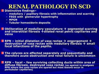 RENAL PATHOLOGY IN SCDRENAL PATHOLOGY IN SCD
Distinctive findings–Distinctive findings–
– medullary / papillary fibrosis with inflammation and scarringmedullary / papillary fibrosis with inflammation and scarring
– FSGS with glomerular hypertrophyFSGS with glomerular hypertrophy
– MPGNMPGN
– Tubular hemosiderin depositsTubular hemosiderin deposits
Obliteration of medullary vasculatureObliteration of medullary vasculature  segmental scarringsegmental scarring
and interstitial fibrosisand interstitial fibrosis dilated renal pelvic capillaries anddilated renal pelvic capillaries and
veinsveins
RPN – initial dilatation of vasa rectaeRPN – initial dilatation of vasa rectae  engorgementengorgement 
destruction of vasa rectae with medullary fibrosisdestruction of vasa rectae with medullary fibrosis  smallsmall
focal infarctions of the papilla.focal infarctions of the papilla.
The calyces are affected separately and sequentially andThe calyces are affected separately and sequentially and
therefore acute obstruction and renal failure is uncommontherefore acute obstruction and renal failure is uncommon
RPN – focal – few surviving collecting ducts within area ofRPN – focal – few surviving collecting ducts within area of
diffuse fibrosis, destroyed vasa rectaediffuse fibrosis, destroyed vasa rectae (as against in analgesic(as against in analgesic
RPN where the vasa rectae are spared but most lesions occur inRPN where the vasa rectae are spared but most lesions occur in
peritubular capillaries)peritubular capillaries)
 