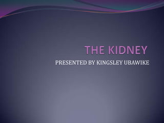 THE KIDNEY	 PRESENTED BY KINGSLEY UBAWIKE 