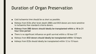 Duration of Organ Preservation
■ Cold ischaemia time should be as short as possible.
■ Kidneys from ECDs after brain death (DBD) and DCD donors are more sensitive
to ischaemia than standard criteria donors.
■ Kidneys from DBD donors should ideally be transplanted within a 18 to 21
hour time period
■ There is no significant influence on graft survival within a 18 hour CIT
■ Kidneys from DCD donors should ideally be transplanted within 12 hours
■ kidneys from ECDs should ideally be transplanted within 12 to 15 hours
 