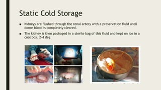 Static Cold Storage
■ Kidneys are flushed through the renal artery with a preservation fluid until
donor blood is completely cleared.
■ The kidney is then packaged in a sterile bag of this fluid and kept on ice in a
cool box. 2-4 deg
 