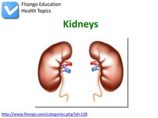 Fitango Education
          Health Topics

                               Kidneys




http://www.fitango.com/categories.php?id=128
 