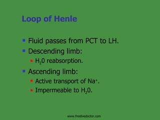 Loop of Henle Fluid passes from PCT to LH. Descending limb: H 2 0 reabsorption. Ascending limb: Active transport of Na + . Impermeable to H 2 0. www.freelivedoctor.com 