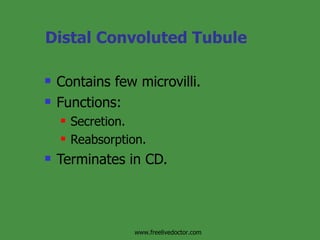 Distal Convoluted Tubule Contains few microvilli. Functions: Secretion. Reabsorption. Terminates in CD. www.freelivedoctor.com 
