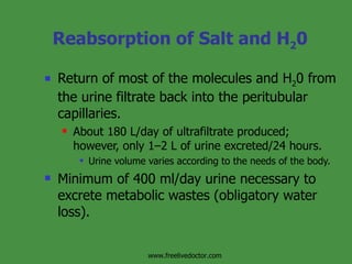 Reabsorption of Salt and H 2 0 Return of most of the molecules and H 2 0 from the urine filtrate back into the peritubular capillaries. About 180 L/day of ultrafiltrate produced; however, only 1–2 L of urine excreted/24 hours. Urine volume varies according to the needs of the body. Minimum of 400 ml/day urine necessary to excrete metabolic wastes (obligatory water loss). www.freelivedoctor.com 
