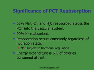 Significance of PCT Reabsorption 65% Na + , Cl - , and H 2 0 reabsorbed across the PCT into the vascular system. 90% K +  reabsorbed. Reabsorption occurs constantly regardless of hydration state. Not subject to hormonal regulation. Energy expenditure is 6% of calories consumed at rest. www.freelivedoctor.com 