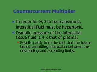 Countercurrent Multiplier In order for H 2 0 to be reabsorbed, interstitial fluid must be hypertonic. Osmotic pressure of the interstitial tissue fluid is 4 x that of plasma. Results partly from the fact that the tubule bends permitting interaction between the descending and ascending limbs. www.freelivedoctor.com 