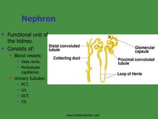 Nephron Functional unit of the kidney. Consists of: Blood vessels:  Vasa recta.  Peritubular capillaries.  Urinary tubules: PCT. LH. DCT. CD.  www.freelivedoctor.com 