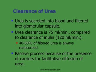 Clearance of Urea Urea is secreted into blood and filtered into glomerular capsule. Urea clearance is 75 ml/min., compared to clearance of inulin (120 ml/min.). 40-60% of filtered urea is always reabsorbed. Passive process because of the presence of carriers for facilitative diffusion of urea. www.freelivedoctor.com 