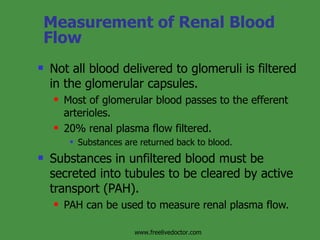 Measurement of Renal Blood Flow Not all blood delivered to glomeruli is filtered in the glomerular capsules. Most of glomerular blood passes to the efferent arterioles. 20% renal plasma flow filtered. Substances are returned back to blood. Substances in unfiltered blood must be secreted into tubules to be cleared by active transport (PAH). PAH can be used to measure renal plasma flow. www.freelivedoctor.com 