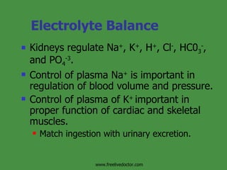 Electrolyte Balance Kidneys regulate Na + , K + , H + , Cl - , HC0 3 - , and PO 4 -3 . Control of plasma Na +  is important in regulation of blood volume and pressure. Control of plasma of K +  important in proper function of cardiac and skeletal muscles. Match ingestion with urinary excretion. www.freelivedoctor.com 
