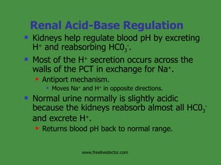 Renal Acid-Base Regulation Kidneys help regulate blood pH by excreting H +  and reabsorbing HC0 3 - . Most of the H +  secretion occurs across the walls of the PCT in exchange for Na + . Antiport mechanism. Moves Na +  and H +  in opposite directions. Normal urine normally is slightly acidic because the kidneys reabsorb almost all HC0 3 -  and excrete H + . Returns blood pH back to normal range. www.freelivedoctor.com 