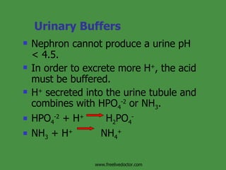 Urinary Buffers Nephron cannot produce a urine pH  < 4.5. In order to excrete more H + , the acid must be buffered.  H +  secreted into the urine tubule and combines with HPO 4 -2  or NH 3 . HPO 4 -2  + H +   H 2 PO 4 - NH 3  + H +   NH 4 + www.freelivedoctor.com 