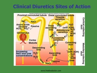 Clinical Diuretics Sites of Action Insert fig. 17.29 www.freelivedoctor.com 
