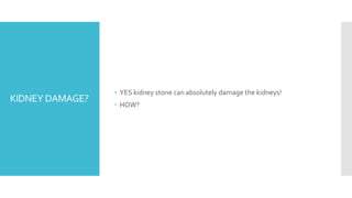 KIDNEY DAMAGE?
 YES kidney stone can absolutely damage the kidneys!
 HOW?
 