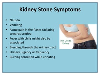 Kidney Stone Symptoms
• Nausea
• Vomiting
• Acute pain in the flanks radiating
towards urethra
• Fever with chills might also be
associated
• Bleeding through the urinary tract
• Urinary urgency or frequency
• Burning sensation while urinating
 