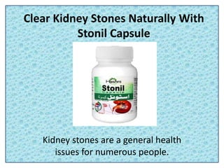 Clear Kidney Stones Naturally With
Stonil Capsule
Kidney stones are a general health
issues for numerous people.
 
