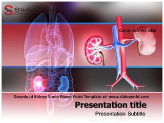 Kidney stone powerpoint template