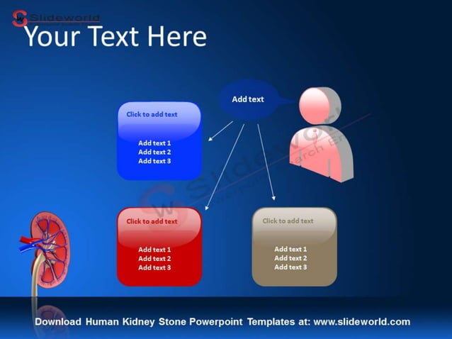 human-kidney-stone-powerpoint-templates-slideworld