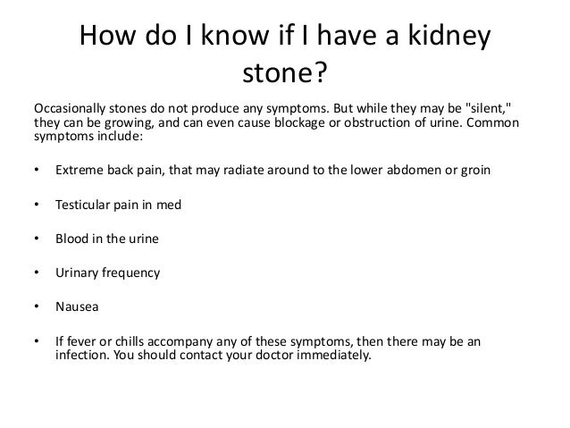 Everything You Ever Wanted to Know About Kidney Stones