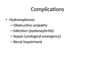 Comprehensive Surgical and Clinical Review of Kidney Stones ...