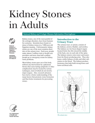 Kidney Stones
in Adults
                   National Kidney and Urologic Diseases Information Clearinghouse

                  Kidney stones, one of the most painful of      Introduction to the
                  the urologic disorders, have beset humans
                  for centuries. Scientists have found evi­      Urinary Tract
                  dence of kidney stones in a 7,000-year-old     The urinary tract, or system, consists of
National
Institute of      Egyptian mummy. Unfortunately, kidney          the kidneys, ureters, bladder, and urethra.
Diabetes and
                  stones are one of the most common disor­       The kidneys are two bean-shaped organs
Digestive
and Kidney        ders of the urinary tract. Each year, people   located below the ribs toward the middle
Diseases          make almost 3 million visits to health care    of the back, one on each side of the spine.
NATIONAL          providers and more than half a million         The kidneys remove extra water and wastes
INSTITUTES        people go to emergency rooms for kidney        from the blood, producing urine. They also
OF HEALTH
                  stone problems.                                keep a stable balance of salts and other sub­
                                                                 stances in the blood. The kidneys produce
                  Most kidney stones pass out of the body        hormones that help build strong bones and
                  without any intervention by a physician.       form red blood cells.
                  Stones that cause lasting symptoms or other
                  complications may be treated by various
                  techniques, most of which do not involve
                  major surgery. Also, research advances                          Kidneys

                  have led to a better understanding of the
                  many factors that promote stone formation
                  and thus better treatments for preventing
                  stones.




                                                                     Ureter
                                                                                                     Bladder




                                                                                        Urethra

U.S. Department
of Health and                                                    The urinary tract.
Human Services
 