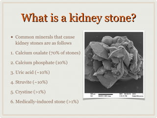 What is a kidney stone?
•

Common minerals that cause
kidney stones are as follows

1. Calcium oxalate (70% of stones)
2. Calcium phosphate (10%)
3. Uric acid (~10%)
4. Struvite (~10%)
5. Crystine (>1%)
6. Medically-induced stone (>1%)

 