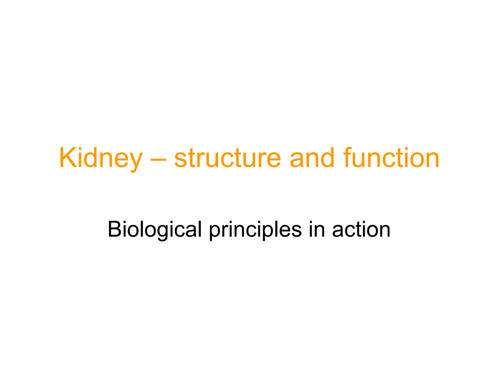 Kidney – structure and function
Biological principles in action
 