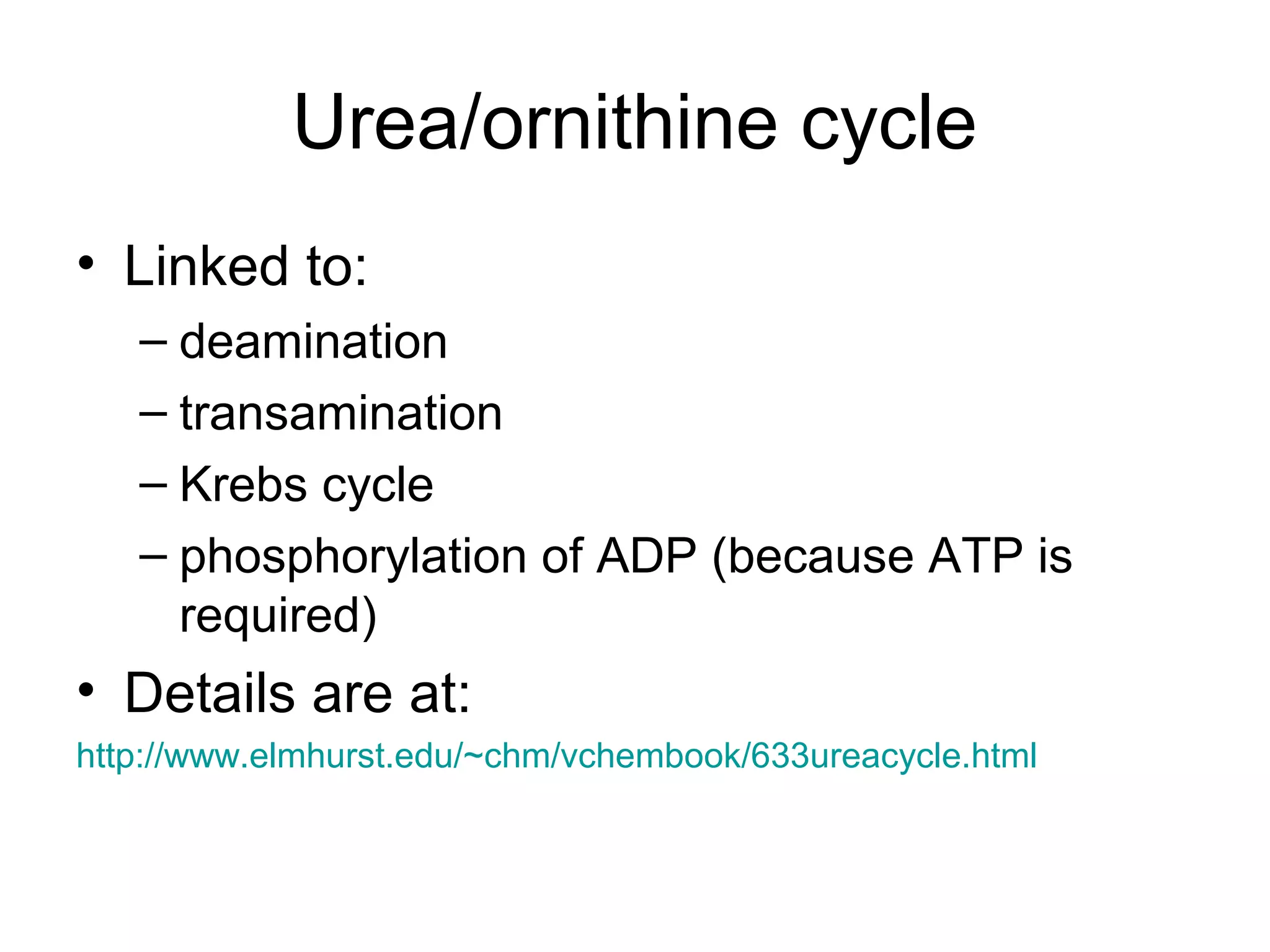 Urea/ornithine cycle
• Linked to:
– deamination
– transamination
– Krebs cycle
– phosphorylation of ADP (because ATP is
required)
• Details are at:
http://www.elmhurst.edu/~chm/vchembook/633ureacycle.html
 