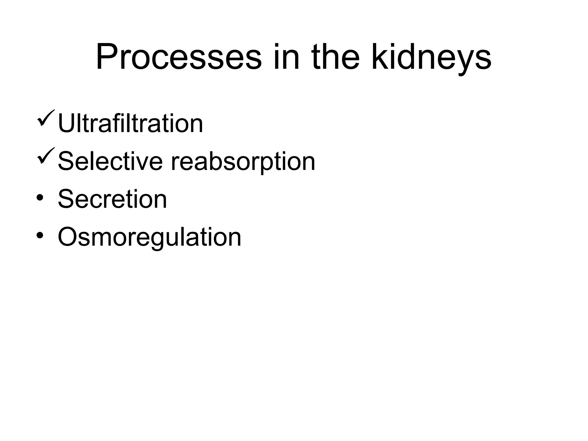 Processes in the kidneys
Ultrafiltration
Selective reabsorption
• Secretion
• Osmoregulation
 