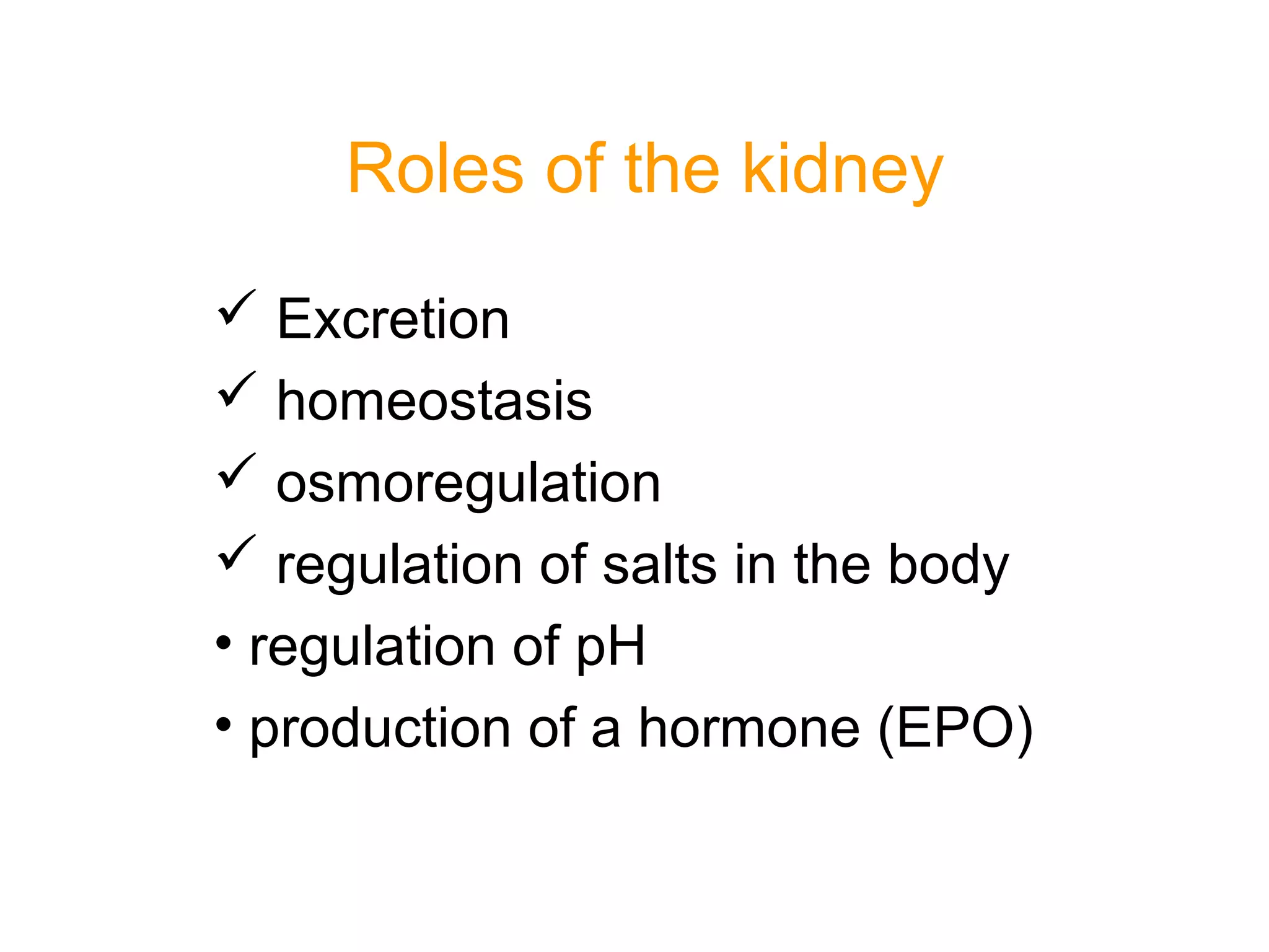 Roles of the kidney
 Excretion
 homeostasis
 osmoregulation
 regulation of salts in the body
• regulation of pH
• production of a hormone (EPO)
 