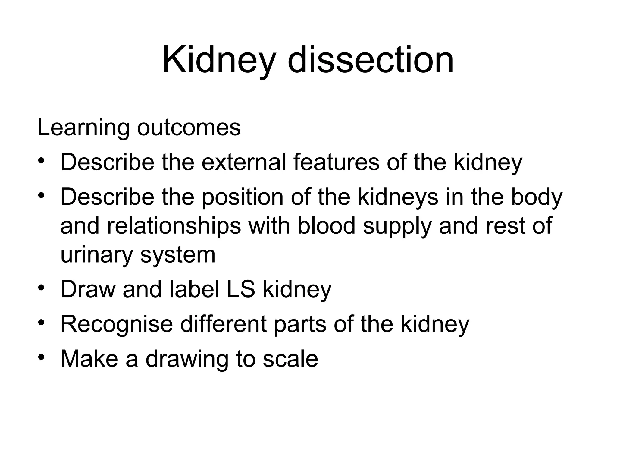 Kidney dissection
Learning outcomes
• Describe the external features of the kidney
• Describe the position of the kidneys in the body
and relationships with blood supply and rest of
urinary system
• Draw and label LS kidney
• Recognise different parts of the kidney
• Make a drawing to scale
 