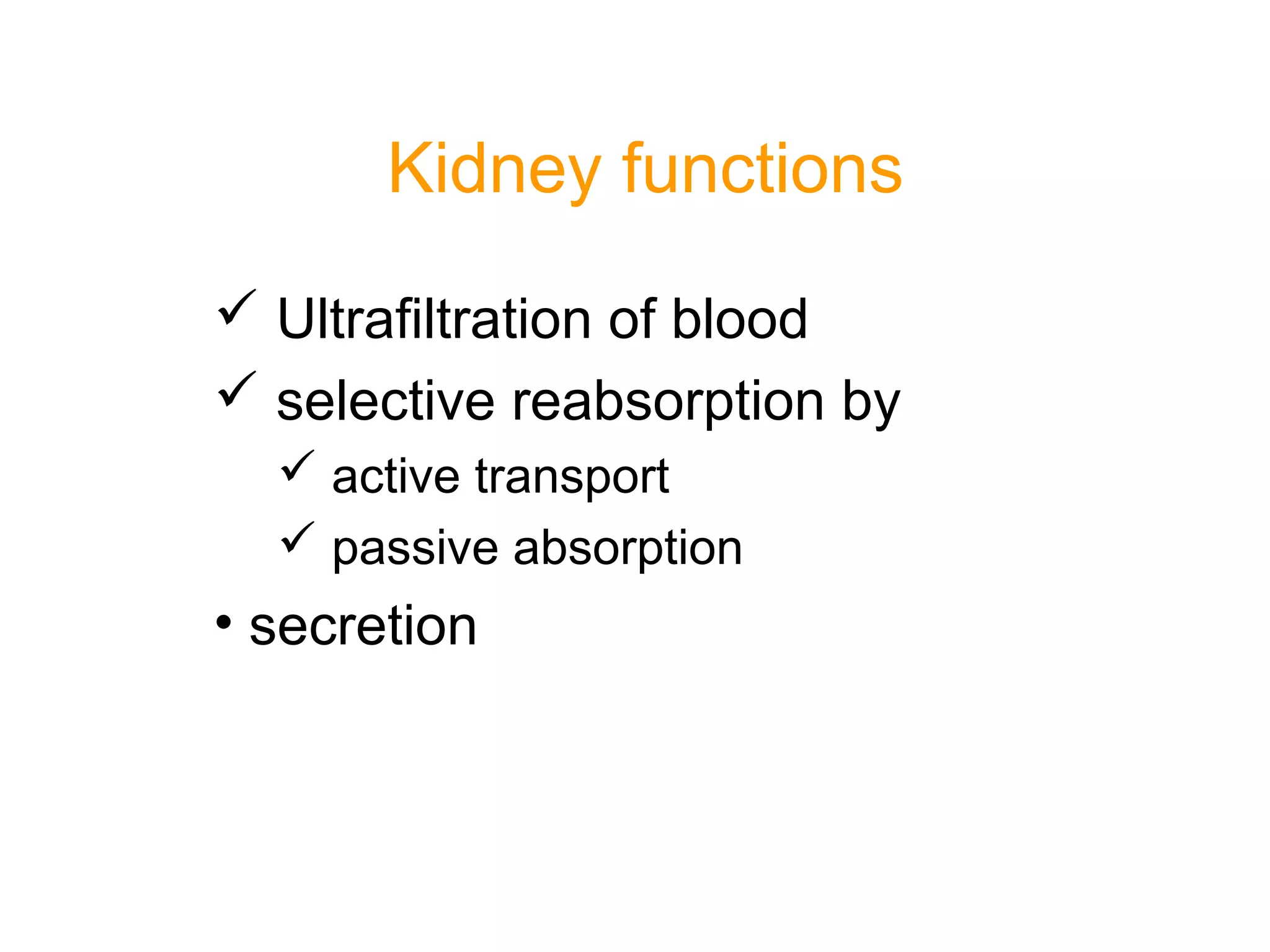 Kidney functions
 Ultrafiltration of blood
 selective reabsorption by
 active transport
 passive absorption
• secretion
 